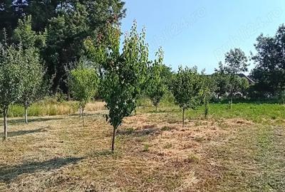 Vanzare proprietate - 4