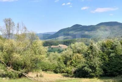 Teren de 70290 mp, în Poiana Ampoiului - 10