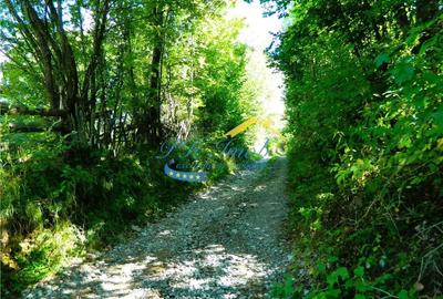 Teren de 2460 mp, în Valea Doftanei