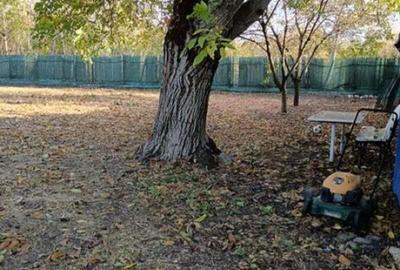 Buftea - Domeniul Stirbey - 3