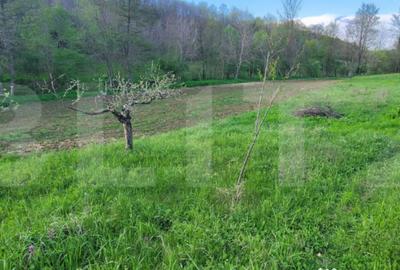 Teren de 6659 mp, în Nisipoasa - 12