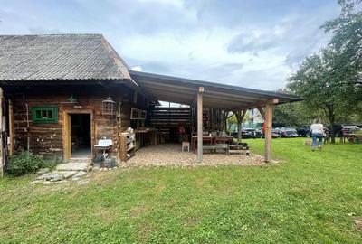 Casă cu 3 camere în Breb - 5