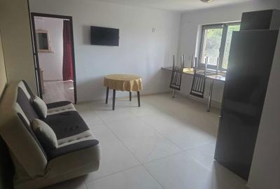 Apartament cu 2 camere decomandat în Alexandru cel Bun - 4