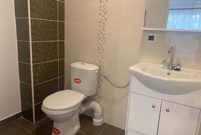 Garsonieră decomandată în Tudor - 7