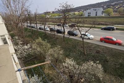 Garsonieră decomandată în Alexandru cel Bun