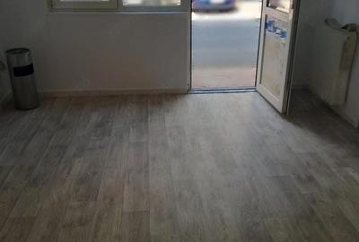 Spațiu comercial, de 40 mp, în Șagului - 2
