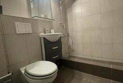 Apartament cu 3 camere decomandat, mobilat în Podu Roș - 3