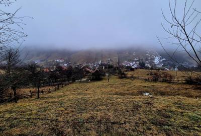 Teren intravilan Simon/Bran, 4318 mp , casuta intabulata, utilitati - 33