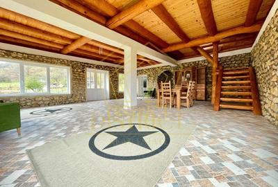 Casa de vacanta/pensiune cu teren de 3780mp | Clisura Dunarii - 13
