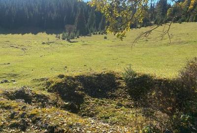 Teren de 16257 mp, în Beliș - 1