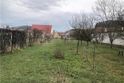 CASA PRETABIL REGIM HOTELIER | CENTRAL SANPETRU - 3