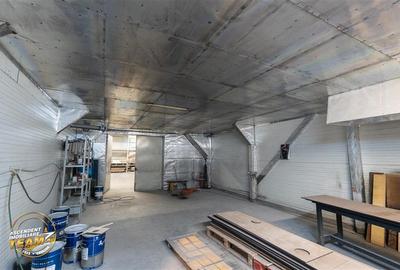 Spațiu comercial, de 1,341 mp, în Valea Crișului - 19