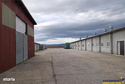Spațiu comercial, de 800 mp, în Colonia Bod - 8