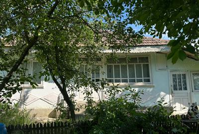 Casă cu 3 camere în Secuia - 1