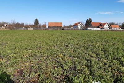 Teren de 2325 mp, în Triaj - 3