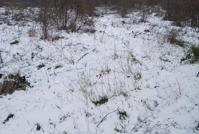 Teren de 1260 mp, în Crețești