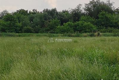 Gataia Teren Drept 1414 Mp Lot de Casa, 7 Euro Mp - 3