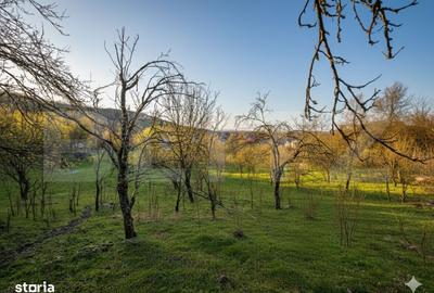 Teren de 9066 mp, în Aninoasa - 6