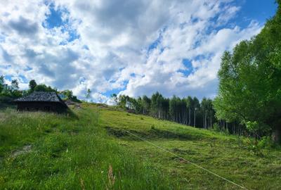 Teren Construcții intravilan de 30000 mp, în Moieciu de Jos - 2