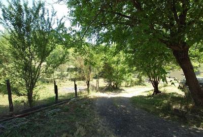 Proprietate cu vibe rural si potential turistic - 20