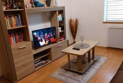 Apartament cu 2 camere semidecomandat în Brezoi - 1