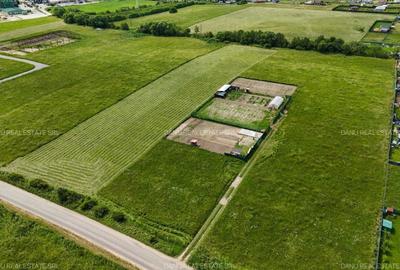 Teren 7500 mp cu potential turistic si rezidential Mina 1 mai - Vulcan Brasov - 7