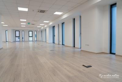 Birou, 310 mp în Aeroport