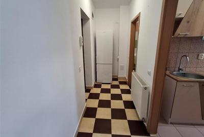 Garsonieră decomandată în Turnișor - 4
