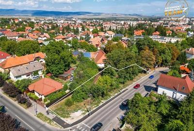 Intravilan,versatil,Central,Sfantu Gheorghe, optim dezvoltari rezidentiale/comer - 5
