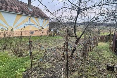 Casă cu Teren 66 Mp în Galații Bistriței - 7