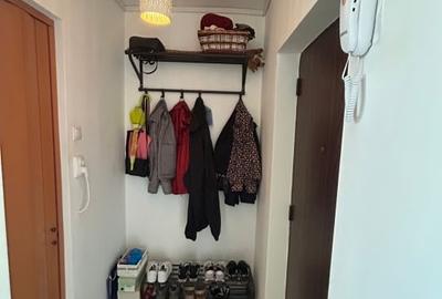 Garsoniera de inchiriat Timpuri noi - Tineretului - 11