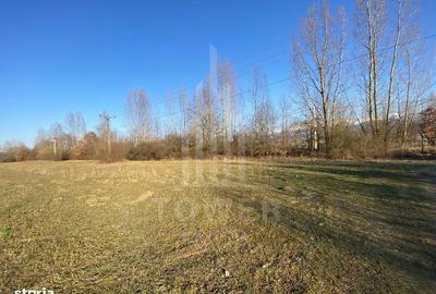 Spațiu comercial, în Veștem - 7