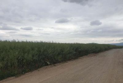 Harman teren agricol cu potential de introducere in intravilan. Harman teren agricol cu potential de introducere in intravilan. - 2