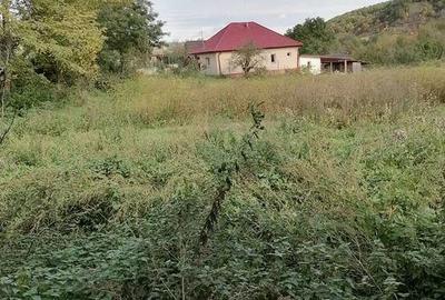 Casă cu 2 camere cu Teren 30000 Mp în Calna - 3