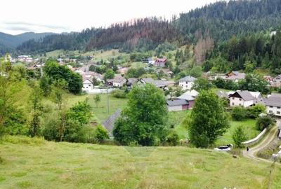 Teren de 6865 mp, în Voroneț - 15