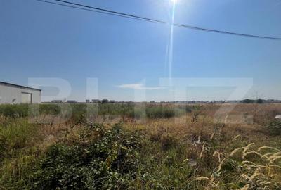 Teren 5000 mp comercial/industrial Calea Bucuresti, zona est - 5