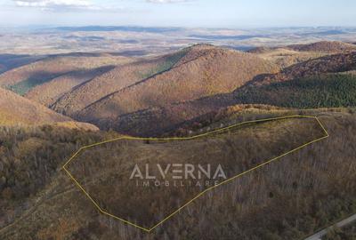 OPORTUNITATE | Teren intravilan | 34.625 mp | Plopi - Valea Ierii - 3