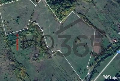 Teren de 150000 mp, în Mihăești - 2