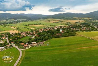 FILM&3D! Doua case cu:piscina,foisor,arbori decorativi,1.700mp teren,Lutoasa,Cov - 15