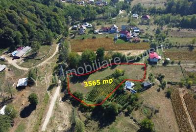 Teren de 3565 mp, în Tutana - 4