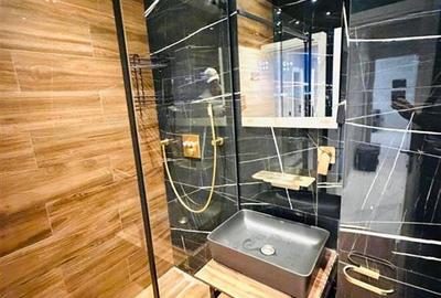 Apartament cu 2 camere decomandat, mobilat în Chitila - 10