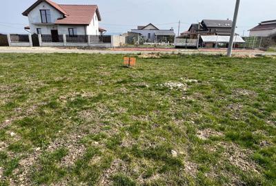 Spațiu comercial, în Mândruloc - 4