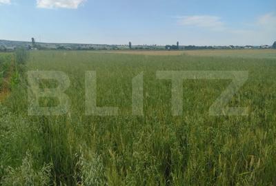Teren de 2427 mp, în Horodnic - 1
