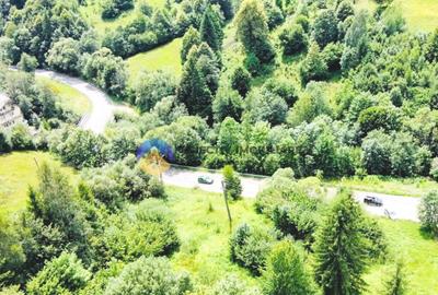 TEREN Izvoru Muntelui, langa orasul BICAZ - 7