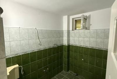 Apartament 3 camere, in casa tip vila, cu terasa extinsa, gradina + parcare - 11