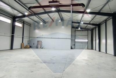 Spațiu industrial hala 572 mp de inchiriat - 2