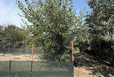 Casă cu 3 camere cu Teren 1797 Mp în Iecea Mică - 6