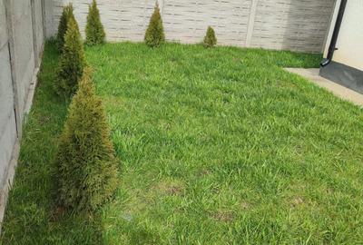 Casă cu 5 camere cu Teren 280 Mp în Clinceni - 7