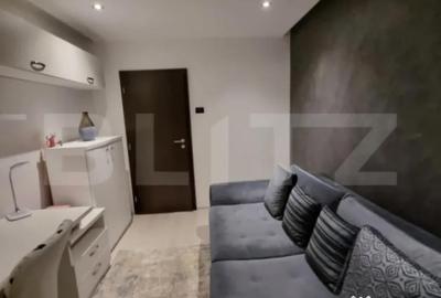 Apartament cu 3 camere decomandat în Lunca Cetățuii - 5