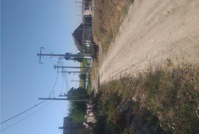 Teren de 3000 mp, în Murighiol - 6
